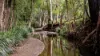 29 Mount Pleasant Road, Wherrol Flat, NSW 2429-Image