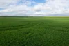 2902 Bratten Way, Cummins, SA 5631-Image