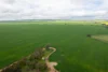 2902 Bratten Way, Cummins, SA 5631-Image