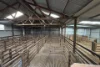 2902 Bratten Way, Cummins, SA 5631-Image