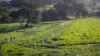 291 Gundare Road, Coolah, NSW 2843-Image