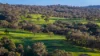 291 Gundare Road, Coolah, NSW 2843-Image