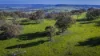 291 Gundare Road, Coolah, NSW 2843-Image