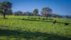 291 Gundare Road, Coolah, NSW 2843-Image