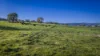 291 Gundare Road, Coolah, NSW 2843-Image