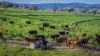291 Gundare Road, Coolah, NSW 2843-Image