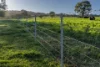 291 Gundare Road, Coolah, NSW 2843-Image