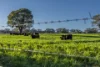 291 Gundare Road, Coolah, NSW 2843-Image