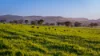 291 Gundare Road, Coolah, NSW 2843-Image