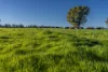 291 Gundare Road, Coolah, NSW 2843-Image