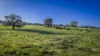 291 Gundare Road, Coolah, NSW 2843-Image