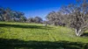291 Gundare Road, Coolah, NSW 2843-Image