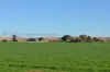 291 Murrawong Road, Murray Bridge, SA 5253