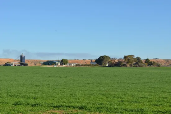 291 Murrawong Road, Murray Bridge, SA 5253