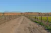 291 Murrawong Road, Murray Bridge, SA 5253-Image