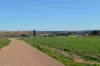 291 Murrawong Road, Murray Bridge, SA 5253-Image