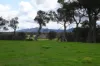 2935 Chester Pass Road, Napier, WA 6330-Image