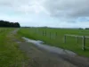 29543 Princes Highway, Millicent, SA 5280-Image