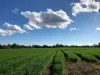 30 Lees Lane, Tatham, NSW 2471-Image