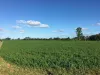 30 Lees Lane, Tatham, NSW 2471-Image