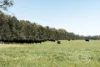 30 Mckenzies Road, Locksley, Vic 3665-Image