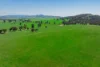 300 Jaricks Lane, The Rock, NSW 2655
