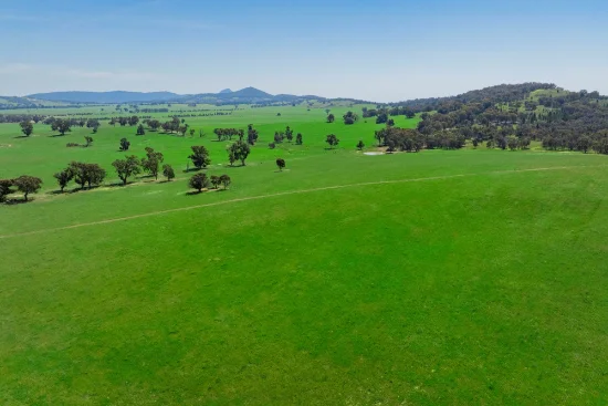 300 Jaricks Lane, The Rock, NSW 2655 - For Sale