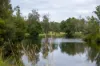 300 Martells Road, Bellingen NSW 2454-Image