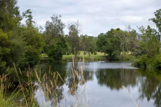 300 Martells Road, Bellingen NSW 2454-Image