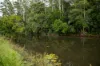 300 Martells Road, Bellingen NSW 2454-Image