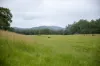 300 Martells Road, Bellingen NSW 2454-Image