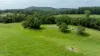 300 Martells Road, Bellingen NSW 2454-Image