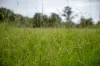 300 Martells Road, Bellingen NSW 2454-Image
