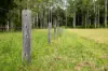 300 Martells Road, Bellingen NSW 2454-Image