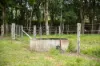 300 Martells Road, Bellingen NSW 2454-Image