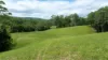 300 Martells Road, Bellingen NSW 2454-Image