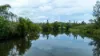300 Martells Road, Bellingen NSW 2454-Image