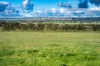 3015 Urana Road, Burrumbuttock, NSW 2642-Image