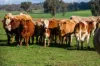 3015 Urana Road, Burrumbuttock, NSW 2642-Image
