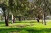 3015 Urana Road, Burrumbuttock, NSW 2642-Image