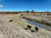 3023 Lue Road, Lue, NSW 2850-Image