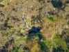 304 Sheans Creek Road, Euroa VIC 3666-Image