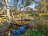 304 Sheans Creek Road, Euroa VIC 3666-Image