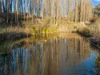 304 Sheans Creek Road, Euroa VIC 3666-Image