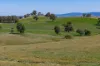 306 Moola Road, Canowindra, NSW 2804-Image