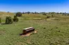 306 Moola Road, Canowindra, NSW 2804-Image