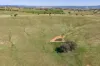 306 Moola Road, Canowindra, NSW 2804-Image