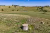 306 Moola Road, Canowindra, NSW 2804-Image