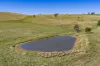 306 Moola Road, Canowindra, NSW 2804-Image