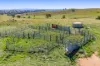 306 Moola Road, Canowindra, NSW 2804-Image